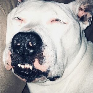 Meet your Posher, Suzette